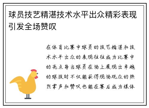 球员技艺精湛技术水平出众精彩表现引发全场赞叹